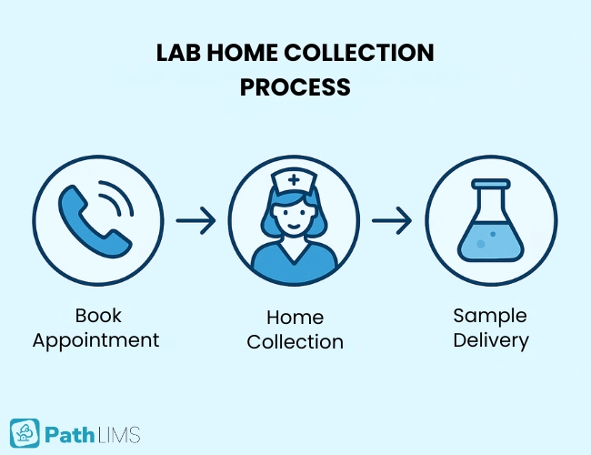 Lab home collection process flow showing booking, home phlebotomy, and lab transport